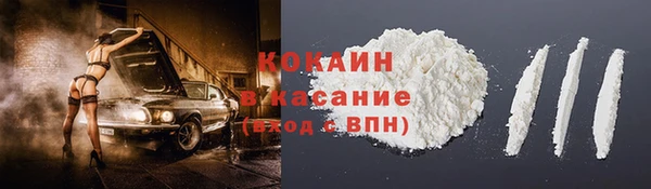 индика Алексин