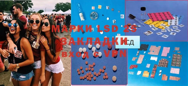 индика Алексин