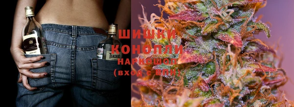 прущие крисы Осташков