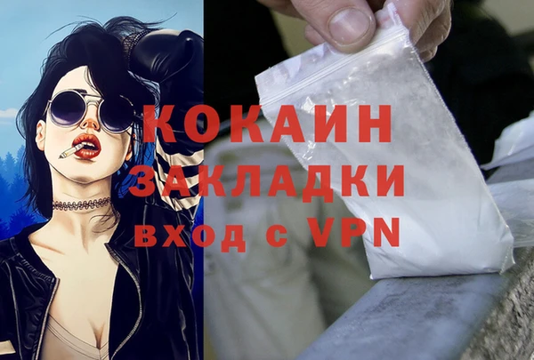 индика Алексин