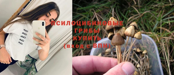 круглые Алзамай