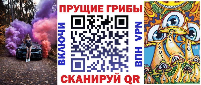 купить наркотик Грозный Псилоцибиновые грибы прущие грибы